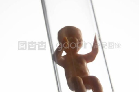 http://ningbo.vdtfzz.com/post/197.html|宁波试管助孕