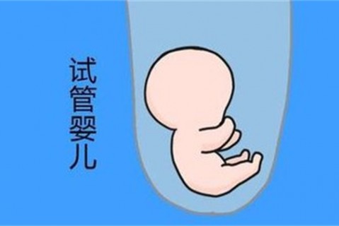http://ningbo.vdtfzz.com/post/194.html|宁波新闻中心