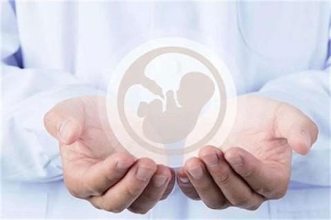 http://ningbo.vdtfzz.com/post/214.html|宁波人工试管